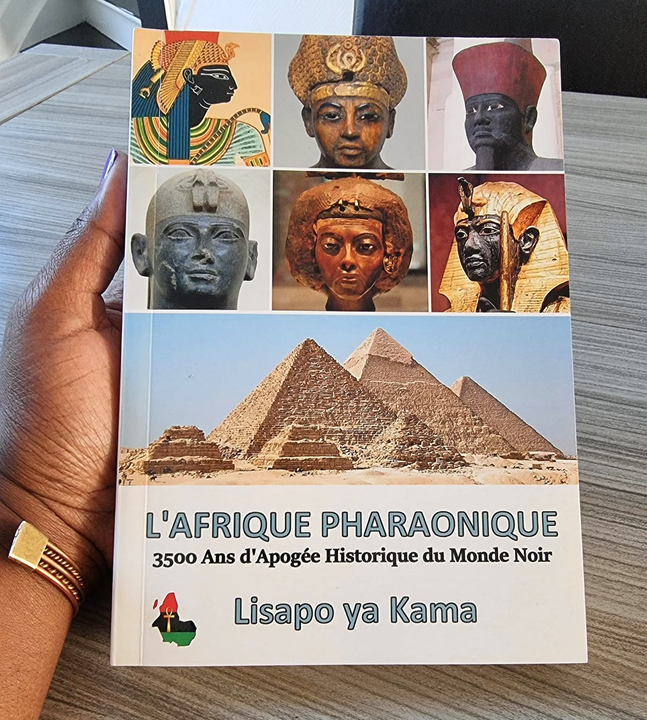 Les Egyptiens étaient noirs. Livre sur l'Egypte des Pharaons dans la suite du travail de Cheikh Anta Diop