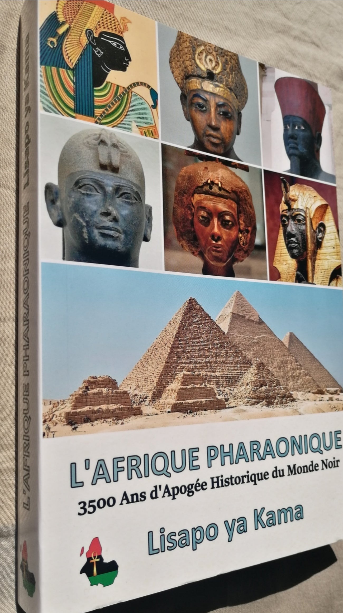 Les Egyptiens étaient noirs. Livre sur l'Egypte des Pharaons dans la suite du travail de Cheikh Anta Diop